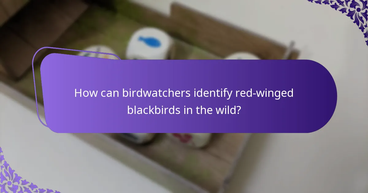 What is the habitat of the red-winged blackbird?