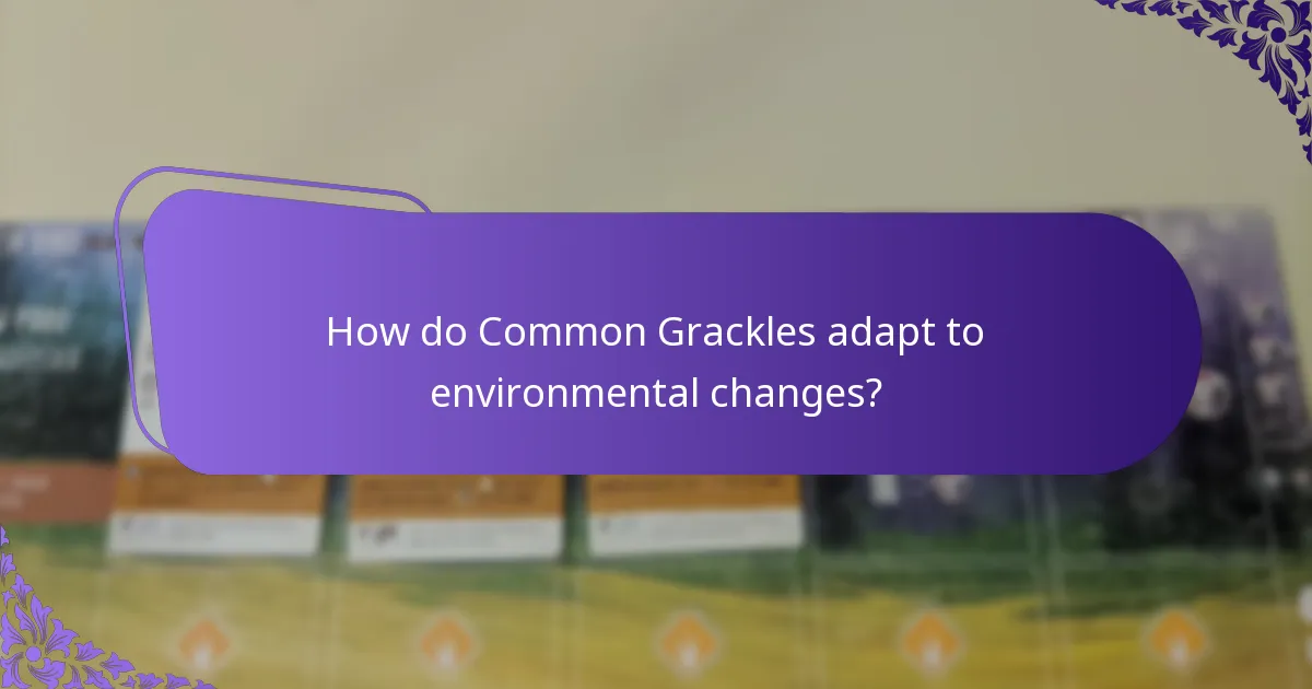 What habitats do Common Grackles prefer?