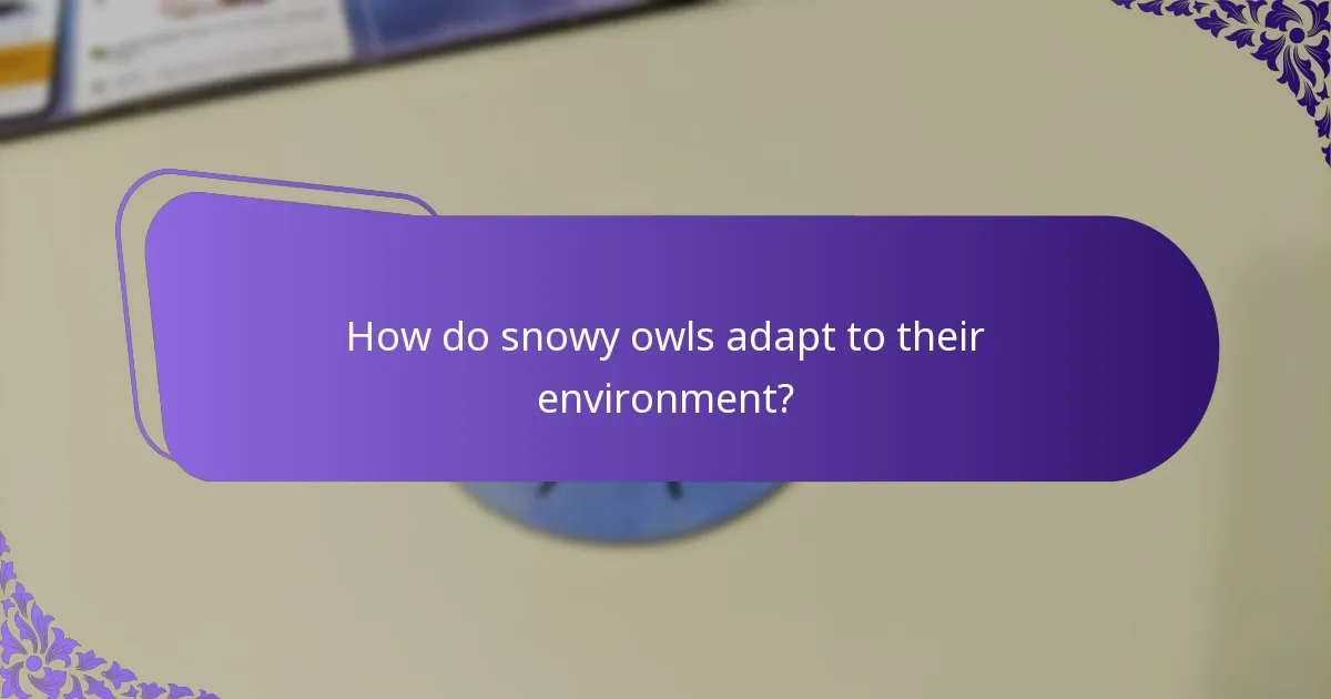 Where do snowy owls live?