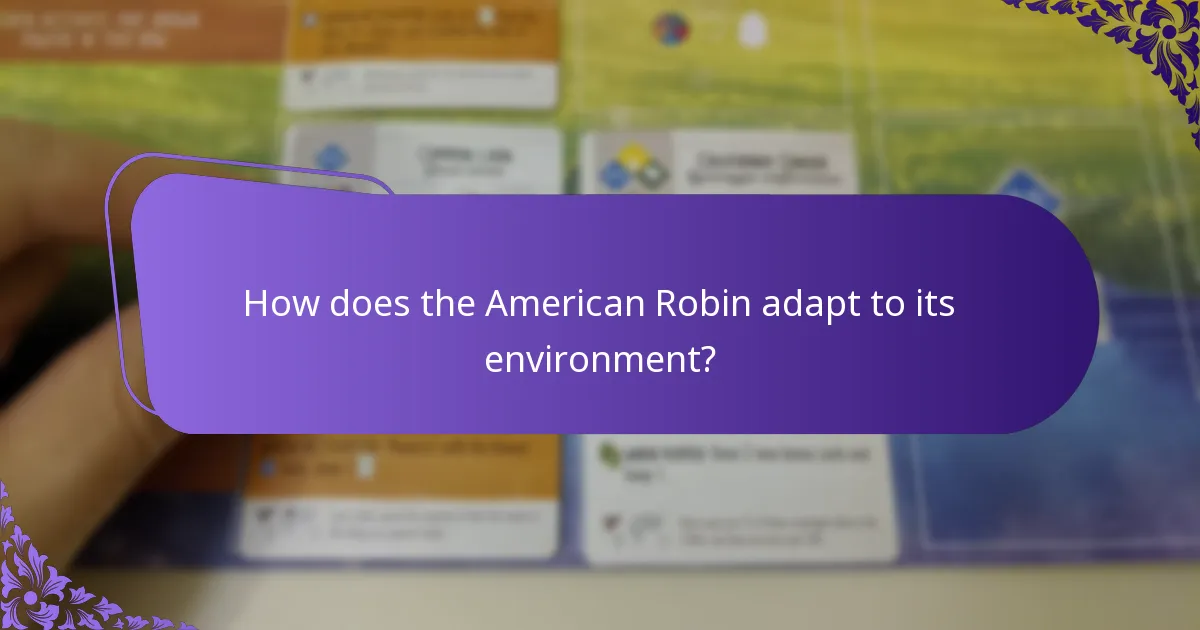 What does the American Robin eat?