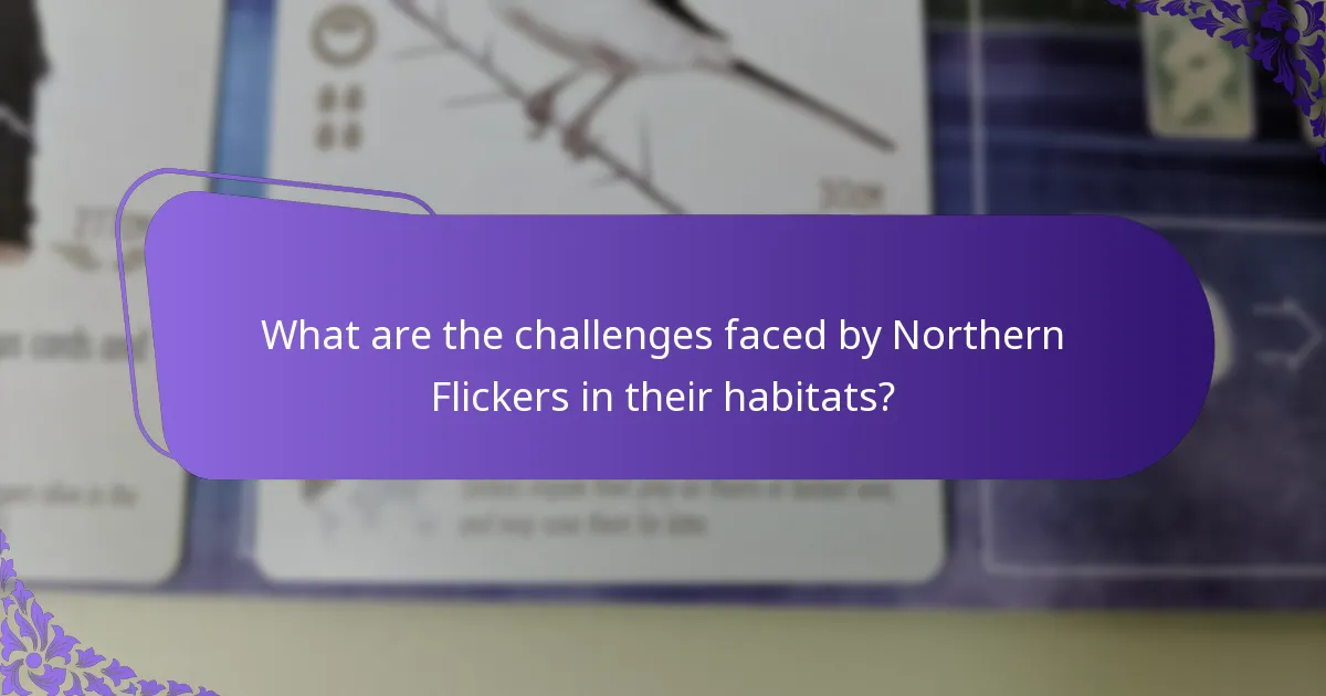 How do Northern Flickers build their nests?