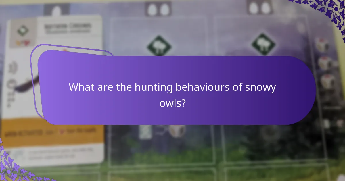 What do snowy owls eat?