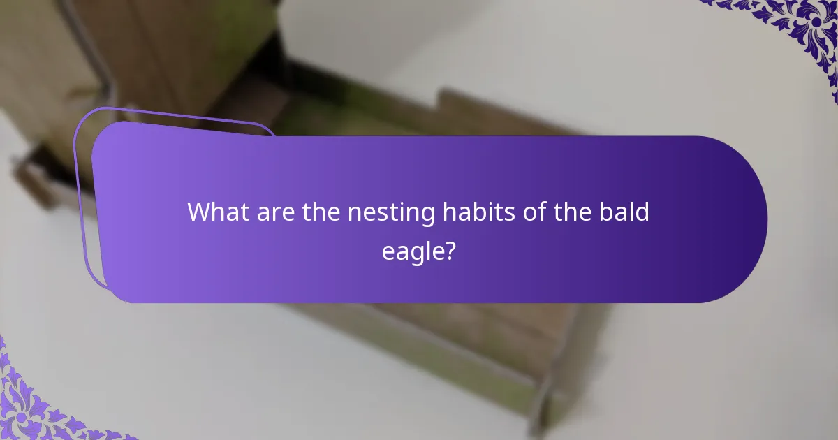 What are the conservation status and threats to bald eagles?