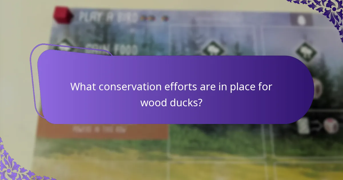 How do wood ducks compare to other duck species?