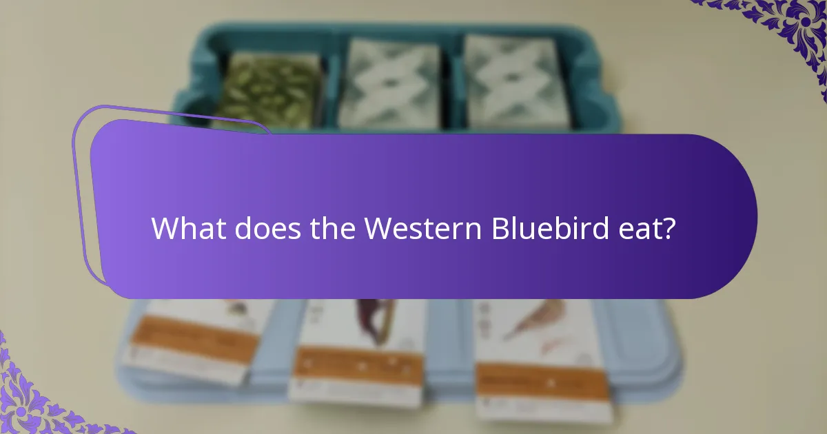 Which conservation efforts support Western Bluebird populations?